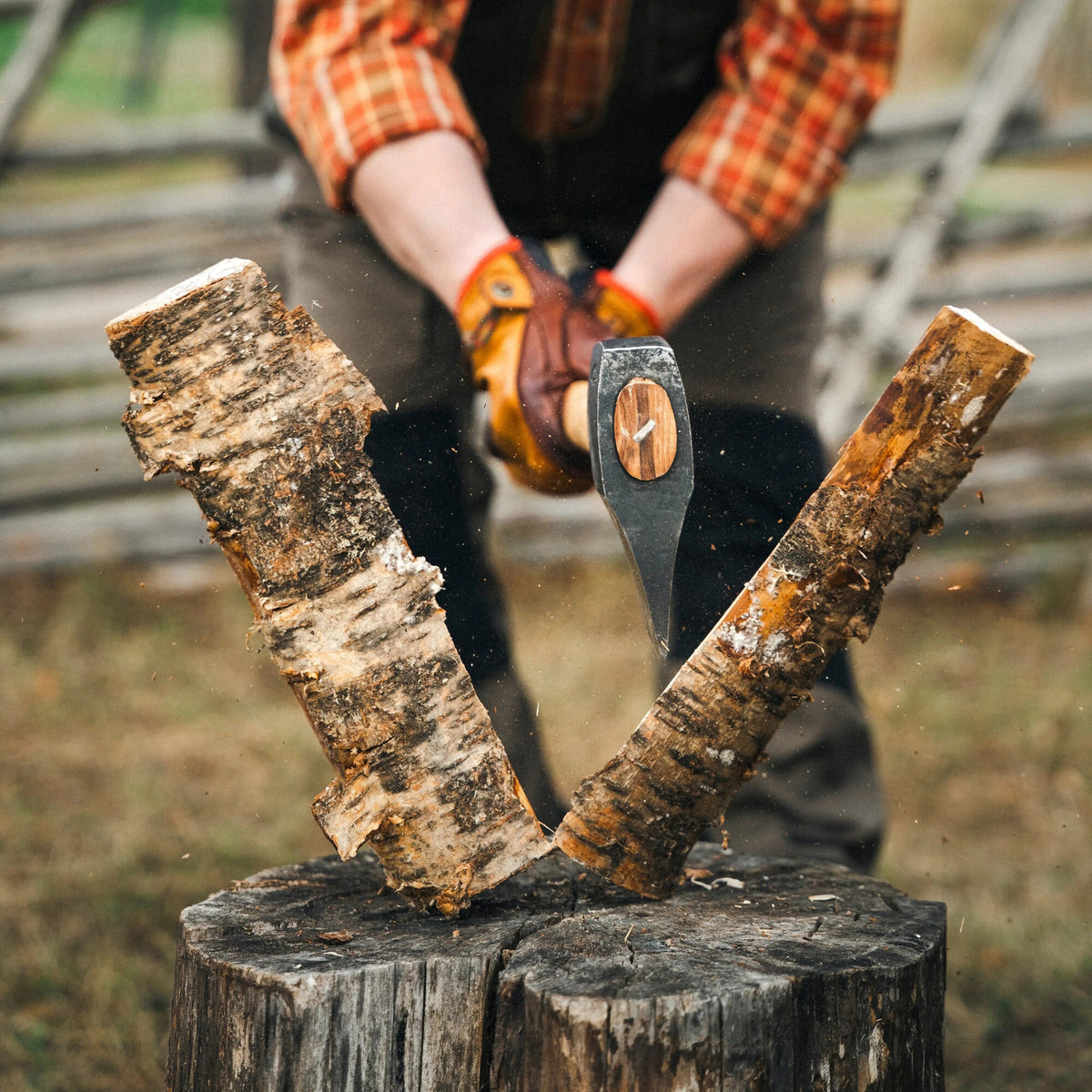 Harvesting Greenwood with Alex Cameron