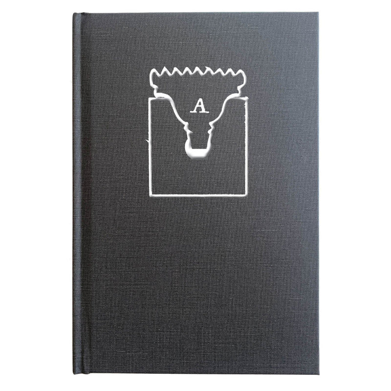The Anarchist's Workbench by Christopher Schwarz