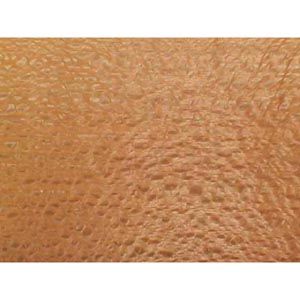 Lacewood Veneer - 3 sq. ft.